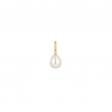 Pop Charm pour collier Ania Haie