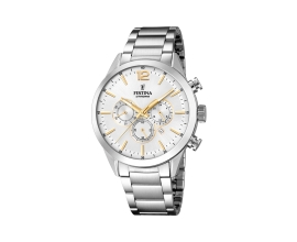 Man Watch Festina